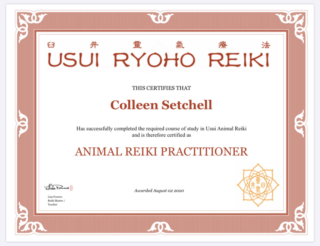 A certificate for 'Animal Reiki Practitioner' for Colleen Kersey