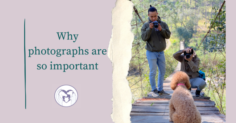 A graphic featuring 2 men taking a photograph of a dog to advertise the blog post "Why photographs are so important."