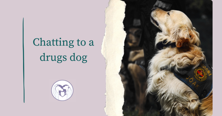 A graphic featuring a police dog and a graphic advertising the blog post entitled "Communicating to a drugs dog."