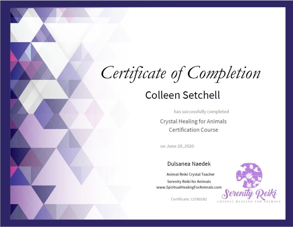 A certificate for 'Crystal Healing for Animals' for Colleen Kersey.