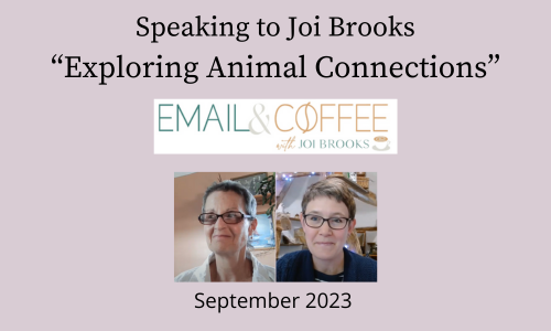Guest On ‘email And Coffee’