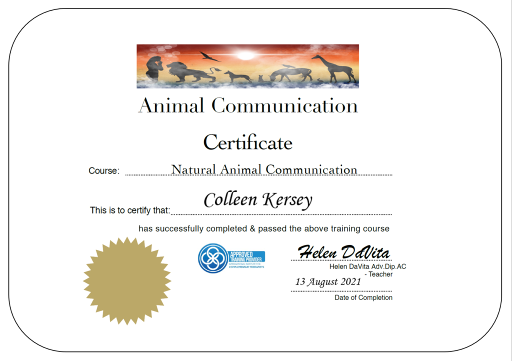A certificate for Colleen Kersey for 'Natural Animal Communication' from Helen DaVita.