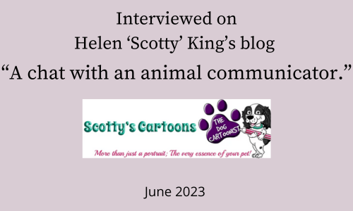 Scotty Dog Blog