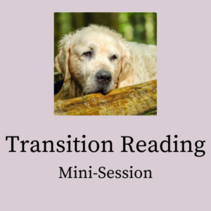 A graphic for mini transition readings showing an elderly dog resting its head on a log.