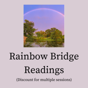 A graphic for a rainbow bridge reading showing a rainbow in the sky.