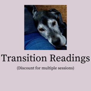 A graphic for 4 transition readings showing an elderly dog resting against a human leg.