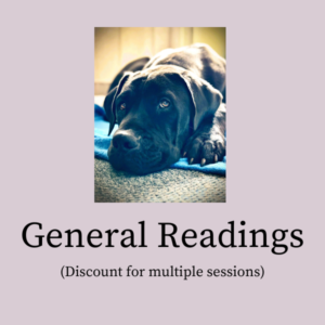 A graphic for a general animal communication reading showing a large dog resting its head on the floor.
