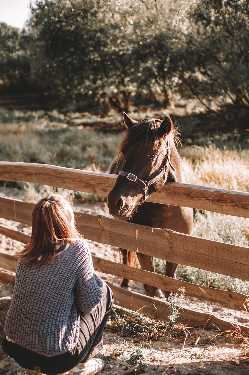 Woman talking to horse