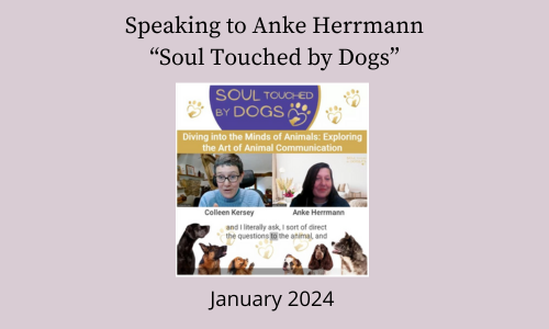 A graphic advertising the interview/podcast that I did with Anke Herrman about animal communication