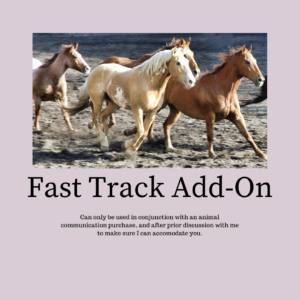 Fast Track Add-On
