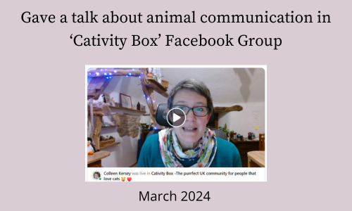 Graphic about Animal Communication talk in Cativity Facebook Group