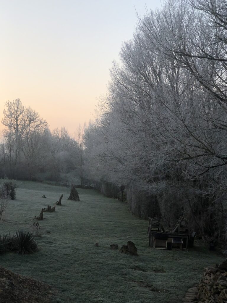 A misty morning with sunrise colours and frosty trees