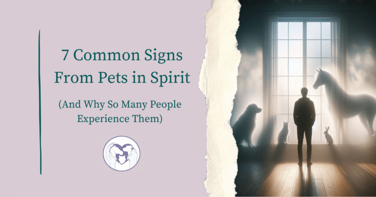 7 Common Signs Blog Post